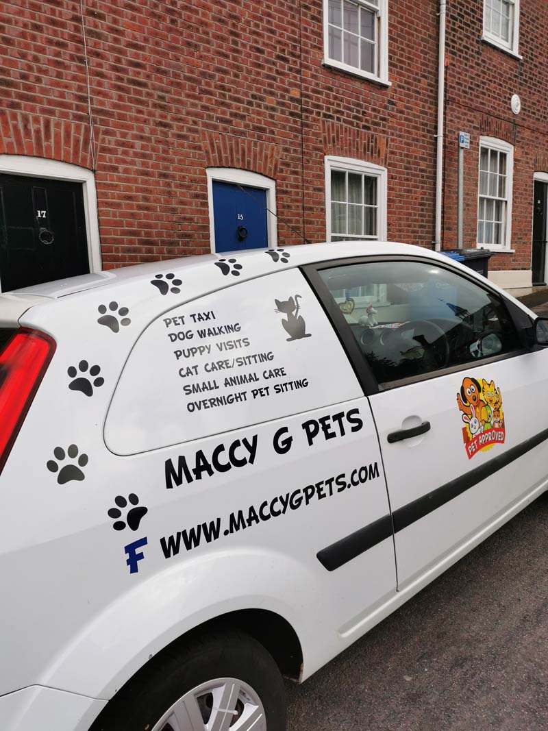 Pet taxis hot sale